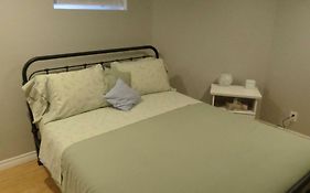 Fantastic And Modern Downtown 1-Bed Basement Apt., Parking Wi-Fi And Netflix Included