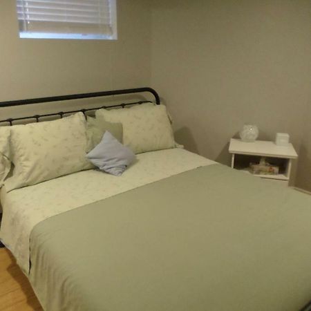 Fantastic And Modern Downtown 1-Bed Basement Apt., Parking Wi-Fi And Netflix Included Ottawa Exterior foto